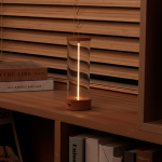 Quantum Magnetic LED Night Light