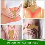 10 Pcs Pain Relief Vertebral Patch