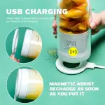 Portable USB Mini Blender | Rechargeable Electric Juice Bottle